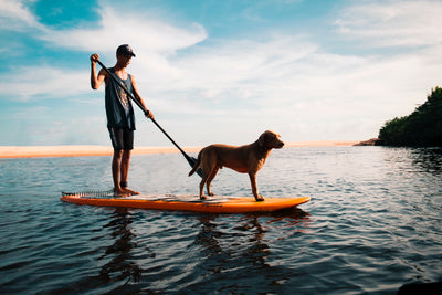 4 Reasons to Consider Buying a Stand Up Paddle Board (SUP)
