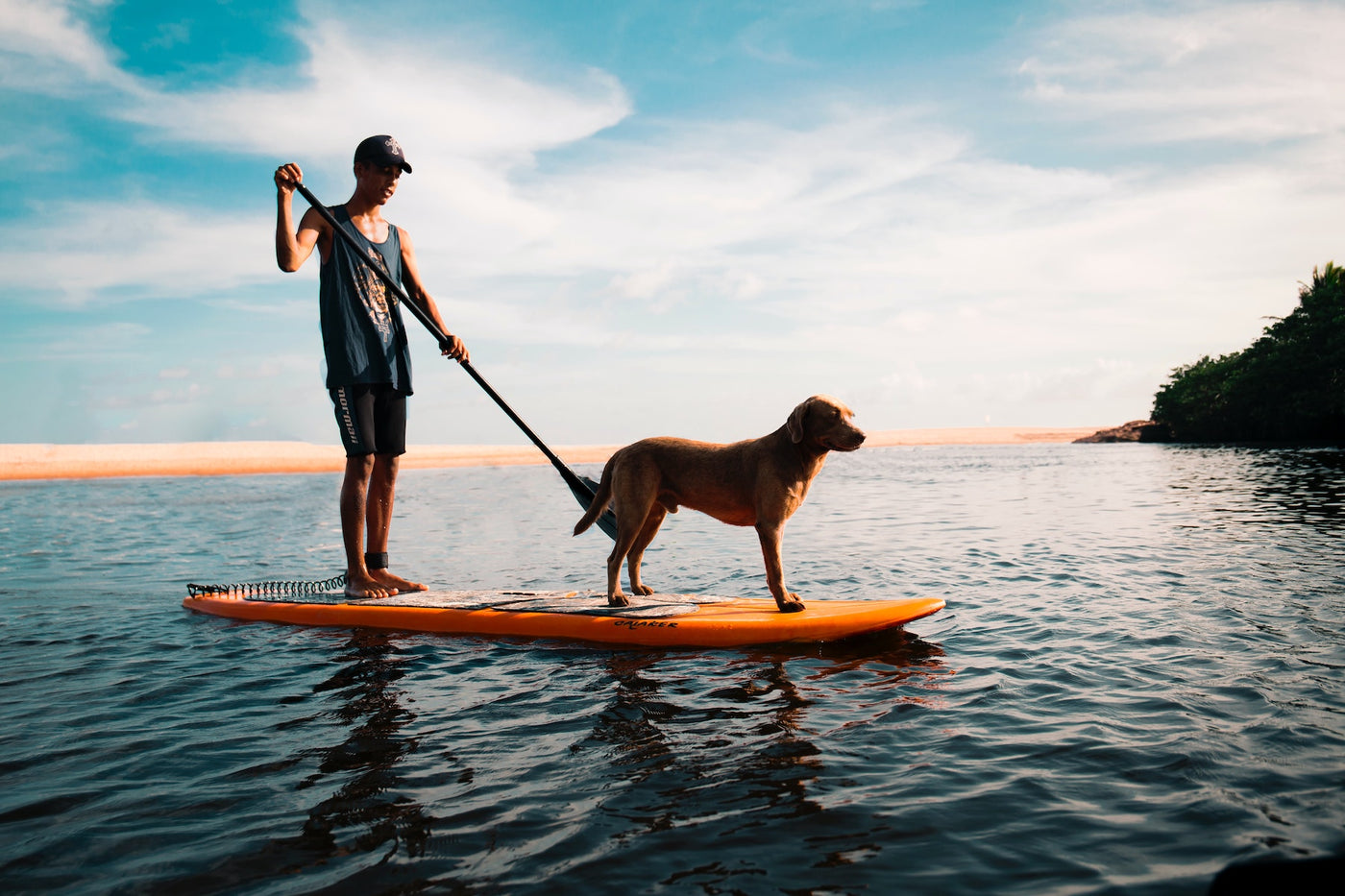 buying a stand up paddleboard